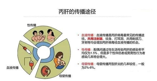 丙肝传播途径图片